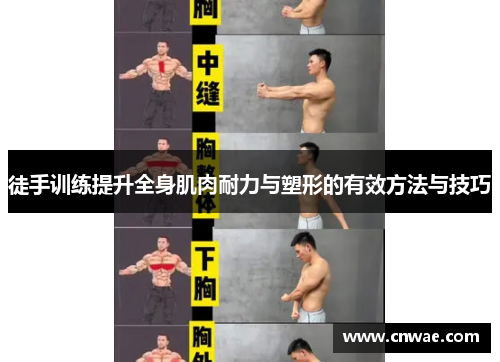 徒手训练提升全身肌肉耐力与塑形的有效方法与技巧
